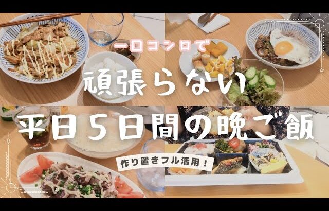 【食事vlog】平日5日間の晩ご飯。一人暮らしの無理しない自炊はこんなもん♪