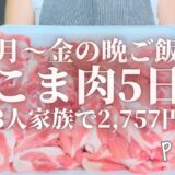 【節約レシピ】平日5日間2,757円で作る豚こま肉を使用した3人家族の晩ご飯。