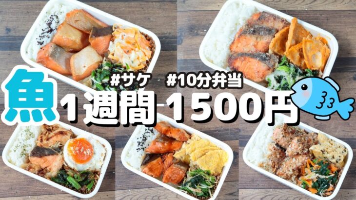 鮭で1週間お弁当🍱おかず1500円【節約レシピ】【10分弁当】〜包丁もまな板もいらない〜(´・ω・`)(471)