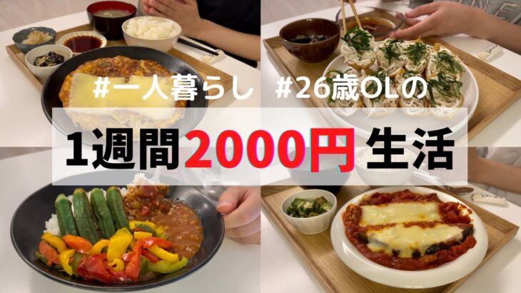 食費1ヶ月1万円の一人暮らしご飯【1週間分紹介】夏野菜カレー/稲荷そうめん/茄子の肉詰め…🍛🫑🍆