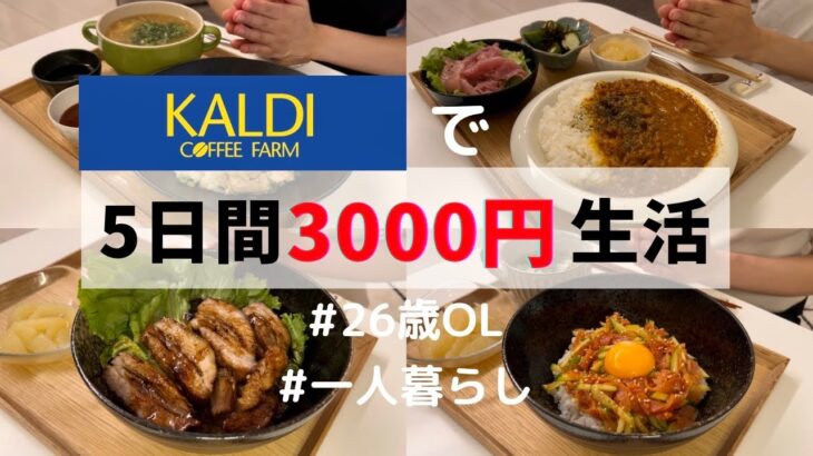 【カルディ】セールで爆買い🛒3,000円で世界の料理を楽しむ1人暮らしご飯🇸🇬🇰🇷🇮🇳