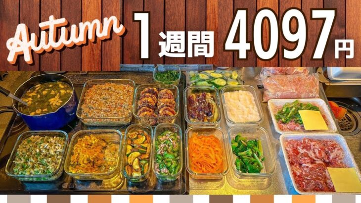 【節約レシピ】安い食材をフル活用！作り置きおかず #125