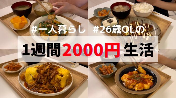 食費1ヶ月1万円の一人暮らしご飯【1週間分紹介】