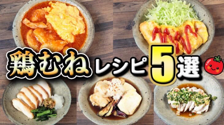 【鶏胸肉レシピ５選】夜ご飯 節約レシピを５ヶ月やってみて、簡単で美味しかったものをまとめてみた(´・ω・`)(489)