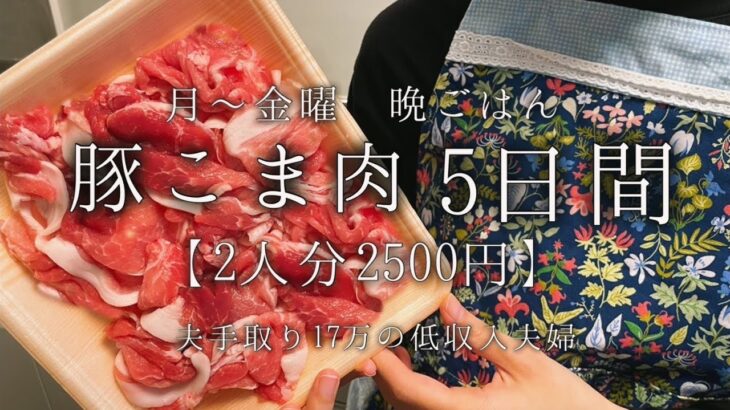 【節約レシピ】3人家族平日5日間2500円で作る豚こま肉晩ごはん