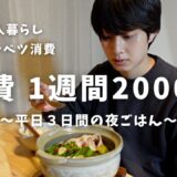 【食費2000円】一人暮らし平日３日間の節約自炊vlog【キャベツ消費】