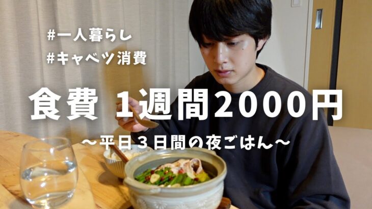 【食費2000円】一人暮らし平日３日間の節約自炊vlog【キャベツ消費】