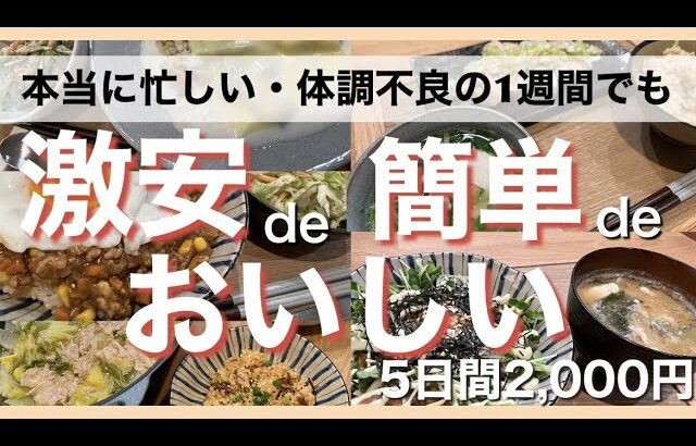 本当に多忙な週や体調の悪い時でも【激安・簡単時短でもおいしい料理】を食べれば元気になれます！5日間で¥2,000　買出し食材だけを使って使い切りを目指す！第10弾・  11月編【節約レシピ】