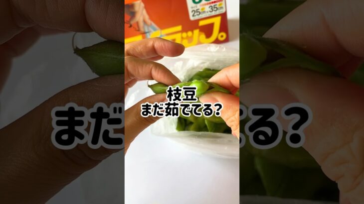 枝豆まだ茹でてる？ #youtubeshorts #簡単レシピ #アイラップ #料理 #レシピ #時短 #時短レシピ