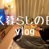 【一人暮らし】vlog ひとりぼっちのクリスマス【猫】