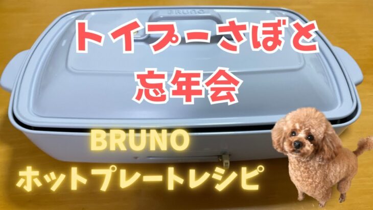 BRUNOホットプレートレシピ、トイプーさぼと忘年会しまーす！！！！