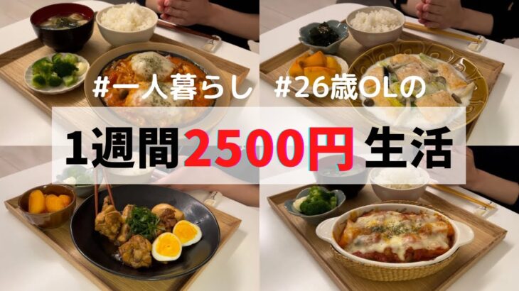 食費1ヶ月1万円の一人暮らしごはん【1週間分紹介】鮭のクリーム煮/トマト煮込みハンバーグ/手羽元の梅煮/トマトグラタン/イワシの梅しそ巻き…🐟