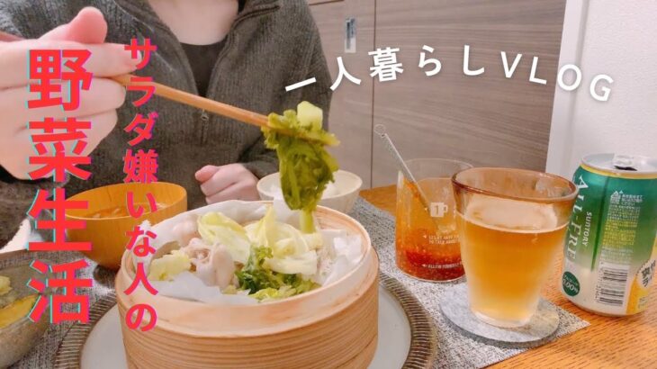 一人暮らしvlog サラダ嫌いな人の野菜生活