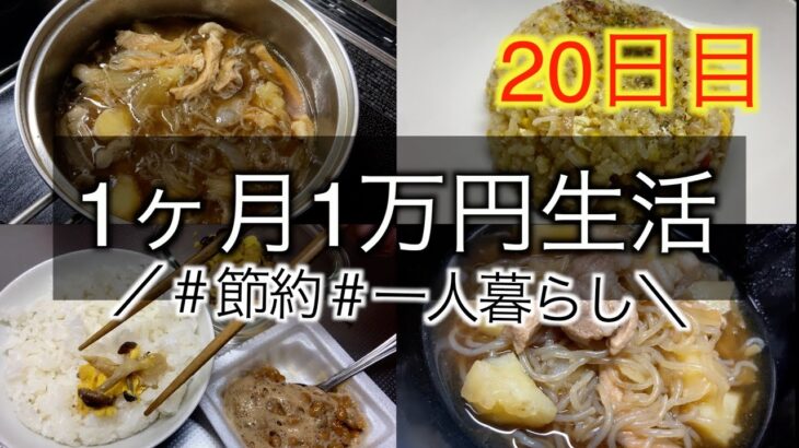 【1ヶ月1万円生活20日目】肉じゃがとチャーハンで一人暮らしの節約生活