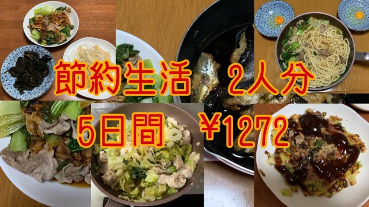 【節約生活】アラ還夫婦2人分✖️5日間　年末は手抜き　#アラ還 #ずぼら飯 #なんちゃって料理 #時短レシピ #節約レシピ #簡単レシピ #自給自足