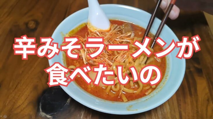 【既製チルド麺アレンジ】辛みそラーメンが食べたいの