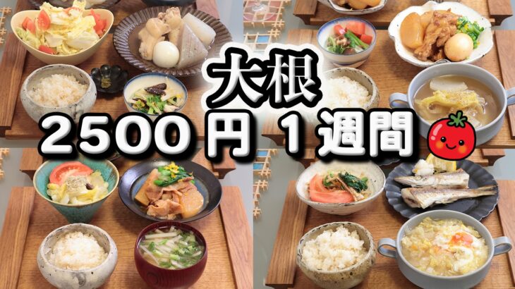 【夜ご飯 1週間献立】大根で節約レシピ 1週間5日の献立おかず2500円　(´・ω・`)（●｀ε´●）2人暮らし(518)