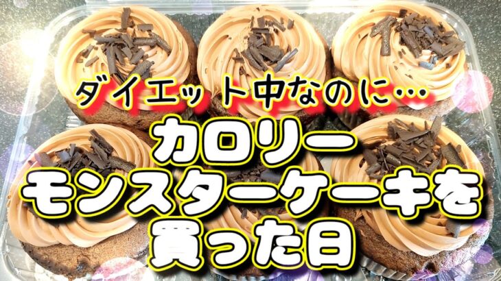 コストコ ダイエット中なのに 新作 ケーキ買った日の 購入品紹介