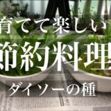 【50代主婦vlog】節約レシピ/簡単ご飯/ほうれん草レシピ￼.ポタージュ&グラタン/トマト水菜リゾット￼/丁寧な暮らし￼