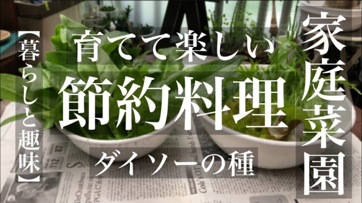 【50代主婦vlog】節約レシピ/簡単ご飯/ほうれん草レシピ￼.ポタージュ&グラタン/トマト水菜リゾット￼/丁寧な暮らし￼