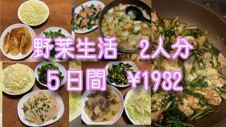 【野菜生活】アラ還夫婦2人分✖️５日間　#簡単レシピ #アラ還 #ずぼら飯 #なんちゃって料理 #時短レシピ #節約レシピ #自給自足 #家庭菜園 #ダイエット中の食事