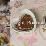 【vlog】My Night Routine|私の節約の小さな工夫|ダイエットに…豆腐のスイーツ🤎|栗原はるみ わたしのカレー|家計簿と日記を続ける工夫…幸せを見つけていく為に♡