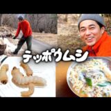 #8 アレンジ辛ラーメン・テッポウムシの素焼き ／ 焚き火のつけ方