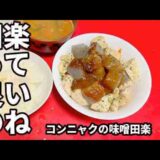 貧乏人の料理　コンニャクの味噌田楽　孤独な一人暮らし料理　素人簡単料理　Amateur food made by poor Japanese　아마추어 요리