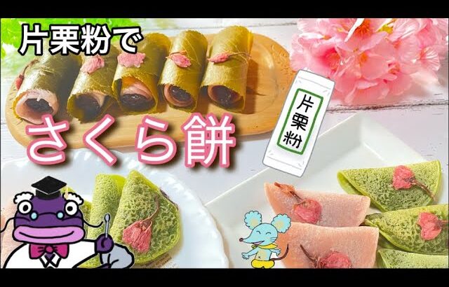 【桜もち】片栗粉で桜餅を作ろう！ホットプレートを使えば大量にできる！#関東風桜餅#和菓子レシピ#片栗粉#sakura #spring #japanesefood