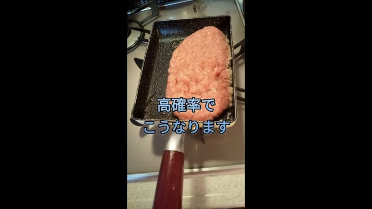 家計に優しいお肉味のオカラハンバーグ