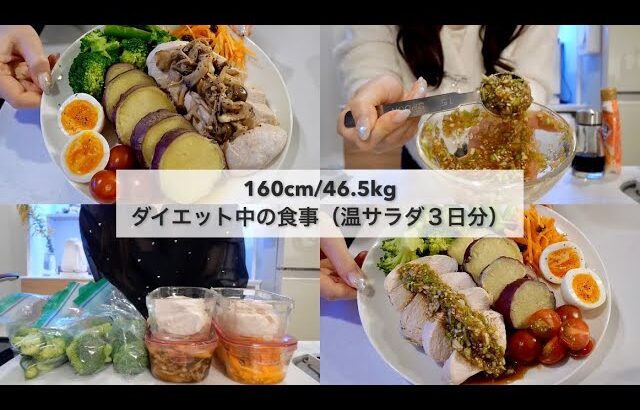 【-14kg達成!🔥】ダイエット中のリアル3日間の食事🍱｜野菜ストックで作るホットサラダ3日分🥗｜ドレッシングレシピ｜Healthy Salad Recipes For Weight Loss