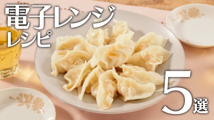 電子レンジレシピ５選🍽【きちんとキッチンbydaiei】