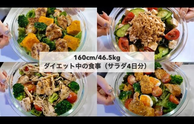 【-14kg達成!🔥】 ダイエット中のリアル4日間の食事🍽️｜サラダレシピ4日分🥗｜ドレッシングレシピ｜Healthy Salad Recipes For Weight Loss