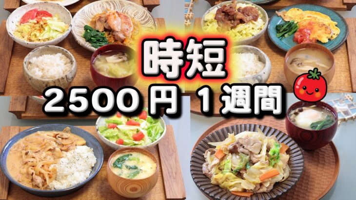 時短のコツ【夜ご飯 1週間献立】30分で夕飯を作るコツ 節約レシピ 5日の献立 おかず2500円　(´・ω・`)（●｀ε´●）2人暮らし(2024年4月)(528)