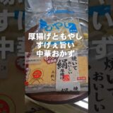 厚揚げともやしが世界一旨い！簡単 節約 ヘルシーおかずレシピ