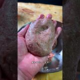 伝説級のハンバーグ #shorts #hamburg