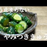 【もう止まらない】やみつききゅうり