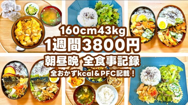 【節約&ダイエット】3食自炊2人暮らし週3800円！160cm43kg 24歳社会人の献立記録