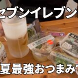 【2024夏おすすめ】セブンイレブン最強おつまみで酒を飲む【新商品多め/第三弾/コンビニ晩酌/飯テロ/宅飲み】