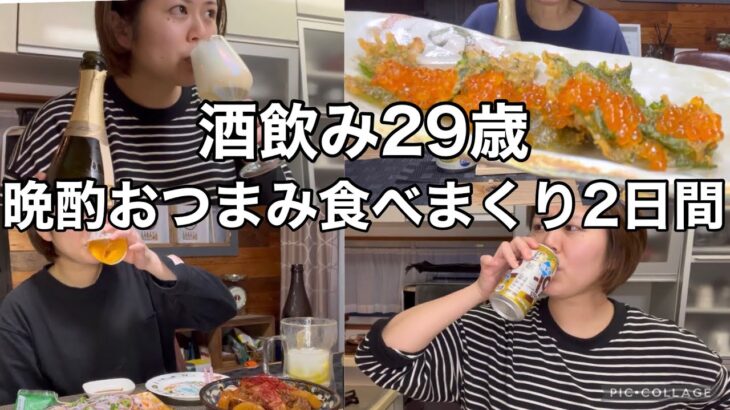 【晩酌】おつまみ作りながら食べ飲み過ぎた酒飲み女の週末2日間。