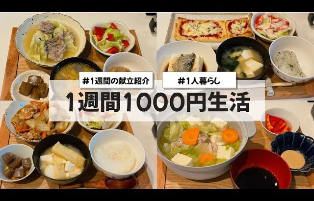 【料理Vlog】【1週間1000円生活】〜1人暮らしOLの1週間の自炊〜