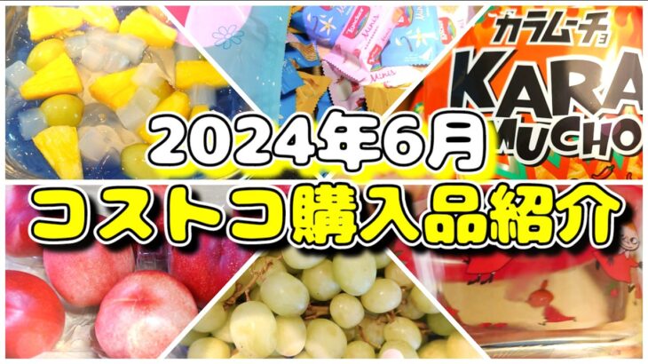 コストコ 購入品紹介 夏休み先取り！ トロピカルな パンナコッタに 激辛カラムーチョ