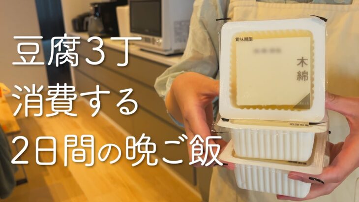 豆腐に頼った2日間の節約晩ご飯【家族3人分】