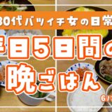 【食事記録】離婚して一人暮らし┊節約食材で食欲を満たす🤤┊食費月1万円代┊平日5日間の晩ごはん👩‍🍳🍽️┊30代バツイチ女の日常