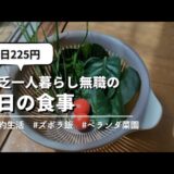 【食費月7000円】貧乏一人暮らし無職の1日の食事vlog│ベランダ菜園で半自給自足生活│#自炊 #ズボラ飯 #家庭菜園 #節約 #簡単レシピ #簡単料理 #節約生活