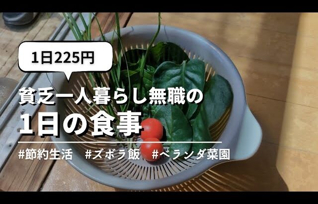 【食費月7000円】貧乏一人暮らし無職の1日の食事vlog│ベランダ菜園で半自給自足生活│#自炊 #ズボラ飯 #家庭菜園 #節約 #簡単レシピ #簡単料理 #節約生活