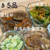 【1時間完成】1口IHで🍳大学生の作り置き5品👩🏻‍🍳/一人暮らし大学生/料理