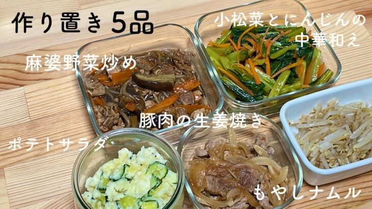 【1時間完成】1口IHで🍳大学生の作り置き5品👩🏻‍🍳/一人暮らし大学生/料理