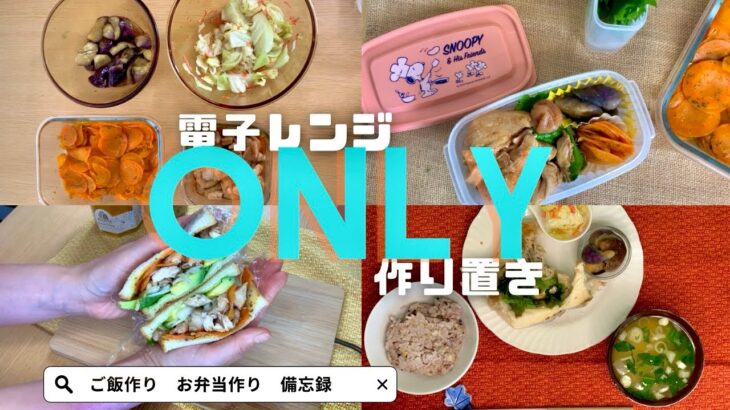 【簡単・レンジだけ】節約|自炊|食卓の一品やお弁当おかずにも最適なレシピ4品✨🦦💛