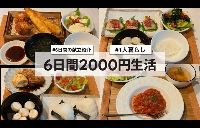 【料理Vlog】【6日間2000円生活】〜1人暮らしOLの30分で作る6日間の自炊記録〜